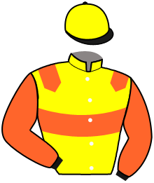 casaque portée par Durville Mar. jockey du cheval de course MAMBO FIRST, information pmu ZETURF casaque portée par Durville Mar. jockey du cheval de course MAMBO FIRST, information pmu ZETURF