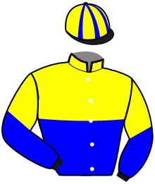 casaque portée par De Jesus Est. jockey du cheval de course MAHARADJAH ROYAL, information pmu ZETURF casaque portée par De Jesus Est. jockey du cheval de course MAHARADJAH ROYAL, information pmu ZETURF