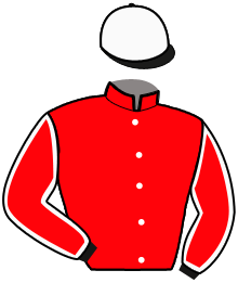 casaque portée par Pasquier S. E. jockey du cheval de course MALKO BOIS MORIN, information pmu ZETURF casaque portée par Pasquier S. E. jockey du cheval de course MALKO BOIS MORIN, information pmu ZETURF
