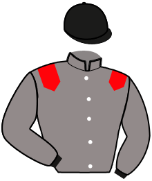 casaque portée par Desmarres Au. jockey du cheval de course MORNING SUN, information pmu ZETURF casaque portée par Desmarres Au. jockey du cheval de course MORNING SUN, information pmu ZETURF