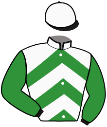 casaque portée par Hergno Mme M. jockey du cheval de course GREEN BRUN, information pmu ZETURF casaque portée par Hergno Mme M. jockey du cheval de course GREEN BRUN, information pmu ZETURF
