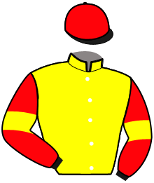 casaque portée par Sinenberg A. jockey du cheval de course JANINA DES TOUCHES, information pmu ZETURF casaque portée par Sinenberg A. jockey du cheval de course JANINA DES TOUCHES, information pmu ZETURF