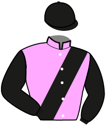 casaque portée par Marie H. jockey du cheval de course LADY MESLOISE, information pmu ZETURF casaque portée par Marie H. jockey du cheval de course LADY MESLOISE, information pmu ZETURF