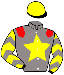 casaque portée par Foure Ch. jockey du cheval de course KHOSIAB, information pmu ZETURF