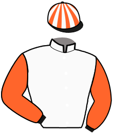 casaque portée par Abrivard M. jockey du cheval de course KYMI JACK, information pmu ZETURF casaque portée par Abrivard M. jockey du cheval de course KYMI JACK, information pmu ZETURF