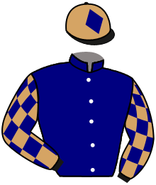 casaque portée par Grosbois Chr. jockey du cheval de course GOT PLAY, information pmu ZETURF casaque portée par Grosbois Chr. jockey du cheval de course GOT PLAY, information pmu ZETURF