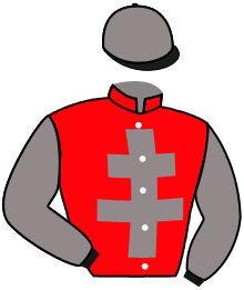 casaque portée par Boysen Mme J. jockey du cheval de course RUMPLETEAZER, information pmu ZETURF casaque portée par Boysen Mme J. jockey du cheval de course RUMPLETEAZER, information pmu ZETURF