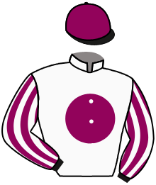 casaque portée par Viel Mr G. jockey du cheval de course FLUTE EN SOL, information pmu ZETURF casaque portée par Viel Mr G. jockey du cheval de course FLUTE EN SOL, information pmu ZETURF