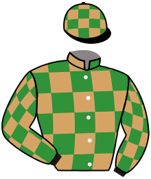 casaque portée par Ferreira N. jockey du cheval de course LITTLE THUNDER, information pmu ZETURF casaque portée par Ferreira N. jockey du cheval de course LITTLE THUNDER, information pmu ZETURF