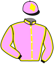 casaque portée par Samuel Diallo Lavi jockey du cheval de course ASALIAH, information pmu ZETURF