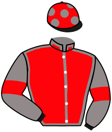 casaque portée par Inconnu jockey du cheval de course BELLE GOSSE, information pmu ZETURF casaque portée par Inconnu jockey du cheval de course BELLE GOSSE, information pmu ZETURF