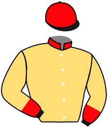 casaque portée par Nailov-ferhanov S. jockey du cheval de course TENUTA, information pmu ZETURF casaque portée par Nailov-ferhanov S. jockey du cheval de course TENUTA, information pmu ZETURF