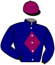 casaque portée par Bails Mlle L. jockey du cheval de course TOPY'SIM, information pmu ZETURF casaque portée par Bails Mlle L. jockey du cheval de course TOPY'SIM, information pmu ZETURF