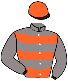casaque portée par Raffin O. jockey du cheval de course LEZIRA SPORT, information pmu ZETURF casaque portée par Raffin O. jockey du cheval de course LEZIRA SPORT, information pmu ZETURF
