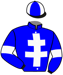 casaque portée par Cardine G. jockey du cheval de course HOTOT, information pmu ZETURF casaque portée par Cardine G. jockey du cheval de course HOTOT, information pmu ZETURF