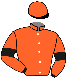 casaque portée par Beaurain T. jockey du cheval de course LIZZY DU QUARTIER, information pmu ZETURF casaque portée par Beaurain T. jockey du cheval de course LIZZY DU QUARTIER, information pmu ZETURF