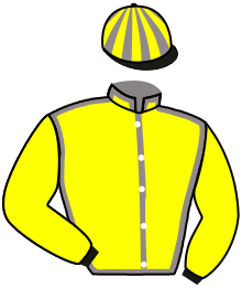 casaque portée par Viel Mr G. jockey du cheval de course KINGMAN D'AMSYL, information pmu ZETURF casaque portée par Viel Mr G. jockey du cheval de course KINGMAN D'AMSYL, information pmu ZETURF