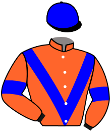 casaque portée par Lefebvre Mr C. jockey du cheval de course L'AMIRAL D'AINAY, information pmu ZETURF casaque portée par Lefebvre Mr C. jockey du cheval de course L'AMIRAL D'AINAY, information pmu ZETURF