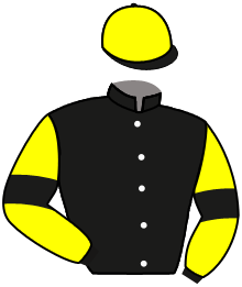 casaque portée par Pageot A. jockey du cheval de course LACRYMA CHRISTI, information pmu ZETURF casaque portée par Pageot A. jockey du cheval de course LACRYMA CHRISTI, information pmu ZETURF