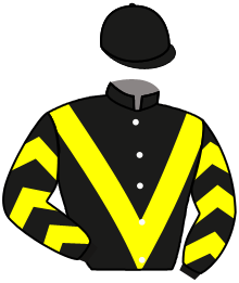 casaque portée par Soumillon C. jockey du cheval de course NEW VEGA, information pmu ZETURF casaque portée par Soumillon C. jockey du cheval de course NEW VEGA, information pmu ZETURF