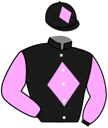 casaque portée par Guyon M. jockey du cheval de course SQUARE D'ALBONI, information pmu ZETURF casaque portée par Guyon M. jockey du cheval de course SQUARE D'ALBONI, information pmu ZETURF