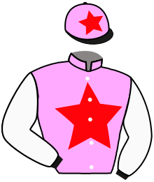 casaque portée par Lemaire Chr. P. jockey du cheval de course IKKO, information pmu ZETURF casaque portée par Lemaire Chr. P. jockey du cheval de course IKKO, information pmu ZETURF