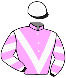 casaque portée par Pouchin A. jockey du cheval de course HATSLIANA, information pmu ZETURF casaque portée par Pouchin A. jockey du cheval de course HATSLIANA, information pmu ZETURF