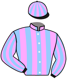 casaque portée par Bails Mlle L. jockey du cheval de course REBECCA ROSE, information pmu ZETURF casaque portée par Bails Mlle L. jockey du cheval de course REBECCA ROSE, information pmu ZETURF