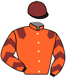 casaque portée par Barzalona M. jockey du cheval de course MIA SUNSHINE, information pmu ZETURF casaque portée par Barzalona M. jockey du cheval de course MIA SUNSHINE, information pmu ZETURF