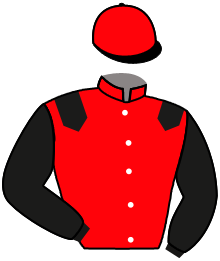 casaque portée par Favriaux Mal. jockey du cheval de course HAZA, information pmu ZETURF casaque portée par Favriaux Mal. jockey du cheval de course HAZA, information pmu ZETURF