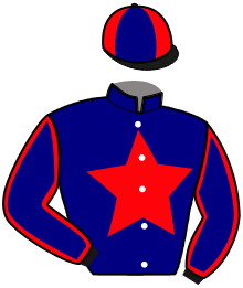 casaque portée par Sorais P. jockey du cheval de course HANEDA ERCA, information pmu ZETURF casaque portée par Sorais P. jockey du cheval de course HANEDA ERCA, information pmu ZETURF