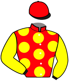 casaque portée par Briand Thé. jockey du cheval de course HUPPERCUT DE JOUX, information pmu ZETURF