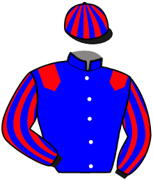 casaque portée par Le Vexier R. jockey du cheval de course IMBRIN BUROIS, information pmu ZETURF