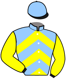 casaque portée par Gout Mlle L. jockey du cheval de course INFINI DU TRY, information pmu ZETURF casaque portée par Gout Mlle L. jockey du cheval de course INFINI DU TRY, information pmu ZETURF