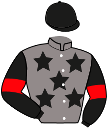 casaque portée par Lemaire Chr. P. jockey du cheval de course ALOHI ALII, information pmu ZETURF