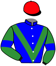 casaque portée par Guyon M. jockey du cheval de course INCREMENTAL, information pmu ZETURF
