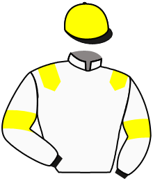 casaque portée par Massin Mlle A. jockey du cheval de course TENNESSEE JOHN, information pmu ZETURF