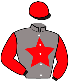 casaque portée par Chevrier Al. jockey du cheval de course HUDSON BAIE, information pmu ZETURF casaque portée par Chevrier Al. jockey du cheval de course HUDSON BAIE, information pmu ZETURF