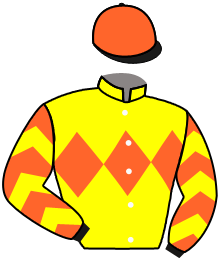 casaque portée par Mangione R. jockey du cheval de course ETOILE DE LENNY, information pmu ZETURF
