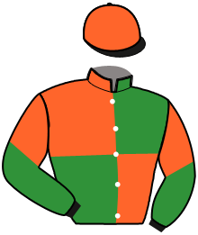 casaque portée par Le Vexier R. jockey du cheval de course KANTOR DU VIVIER, information pmu ZETURF casaque portée par Le Vexier R. jockey du cheval de course KANTOR DU VIVIER, information pmu ZETURF