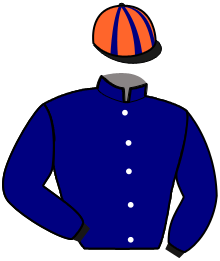 casaque portée par Ensch N. jockey du cheval de course KASH SNIPER, information pmu ZETURF casaque portée par Ensch N. jockey du cheval de course KASH SNIPER, information pmu ZETURF