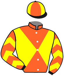 casaque portée par Paillard S. jockey du cheval de course IRUN LORD, information pmu ZETURF casaque portée par Paillard S. jockey du cheval de course IRUN LORD, information pmu ZETURF