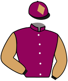 casaque portée par Magrex Léo jockey du cheval de course BATTLE CONNEXION, information pmu ZETURF casaque portée par Magrex Léo jockey du cheval de course BATTLE CONNEXION, information pmu ZETURF