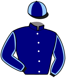 casaque portée par Verva Pie. Y. jockey du cheval de course LERWICK PERRINE, information pmu ZETURF casaque portée par Verva Pie. Y. jockey du cheval de course LERWICK PERRINE, information pmu ZETURF