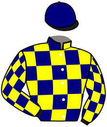 casaque portée par Bonne D. jockey du cheval de course FLASH MONEY, information pmu ZETURF