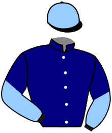 casaque portée par Le Clerc B. jockey du cheval de course MAOHI, information pmu ZETURF casaque portée par Le Clerc B. jockey du cheval de course MAOHI, information pmu ZETURF
