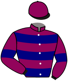 casaque portée par Beaurain T. jockey du cheval de course NOTHING EYE'S, information pmu ZETURF casaque portée par Beaurain T. jockey du cheval de course NOTHING EYE'S, information pmu ZETURF