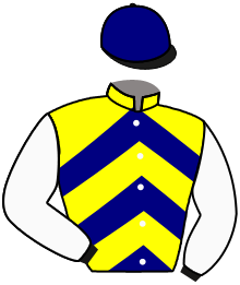 casaque portée par Andrieux T. jockey du cheval de course L'ALEXIA, information pmu ZETURF casaque portée par Andrieux T. jockey du cheval de course L'ALEXIA, information pmu ZETURF