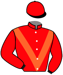 casaque portée par Prichard Mlle C. jockey du cheval de course JOYVOL, information pmu ZETURF