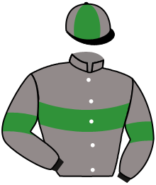 casaque portée par Gaullier T. jockey du cheval de course ITISPARIS, information pmu ZETURF casaque portée par Gaullier T. jockey du cheval de course ITISPARIS, information pmu ZETURF